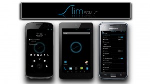 Samsung Galaxy Note 2 N7100 Android 4.3 Slim Bean Jelly Bean Custom Firmware Install Tutorial
